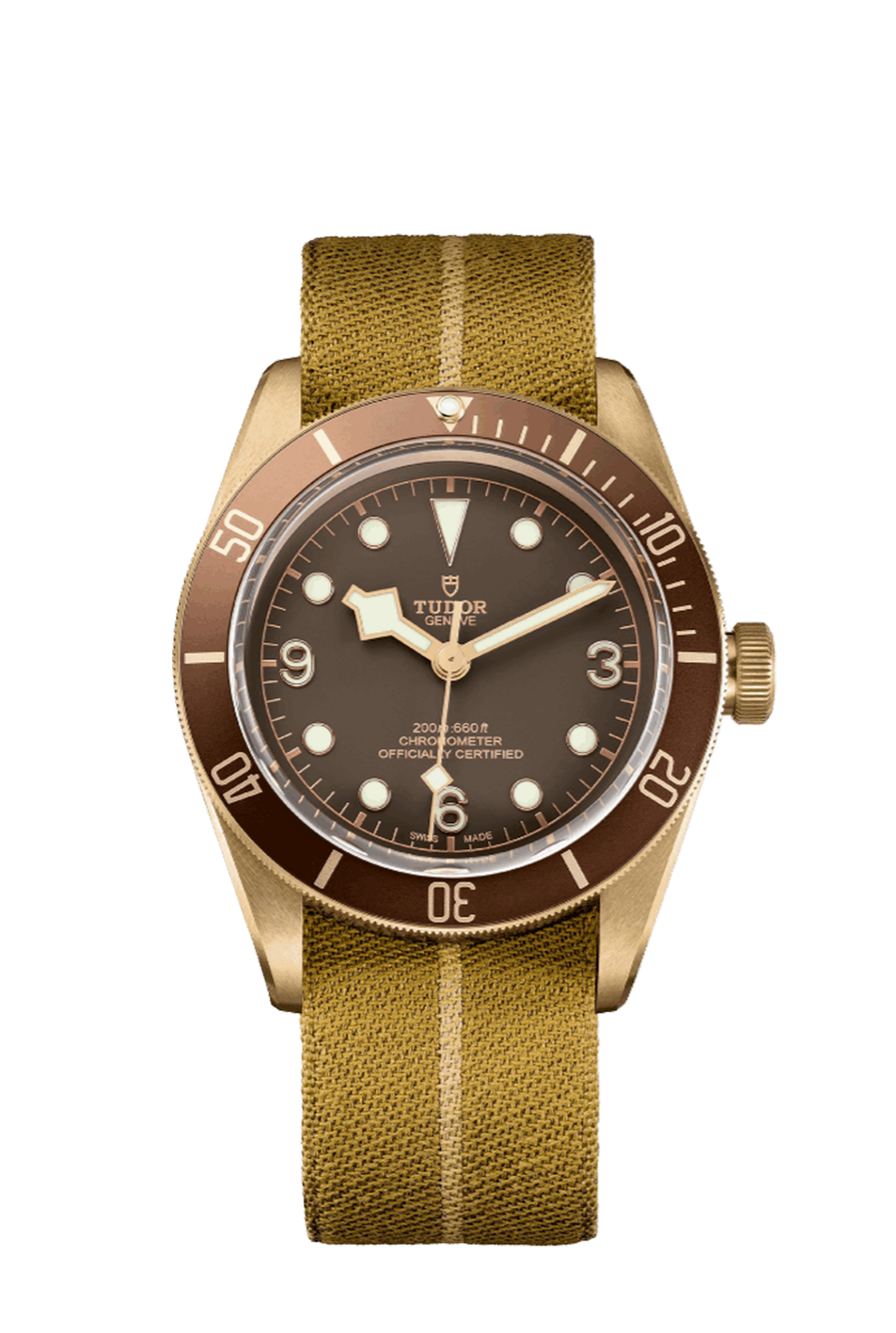 Tudor Black Bay Bronze Boutique Edition (79012M)