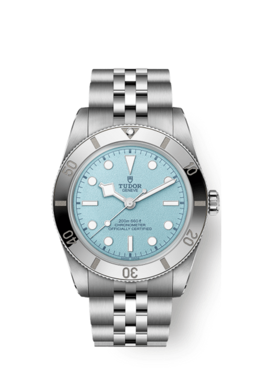 Tudor Black Bay 54 (M79000-0001)