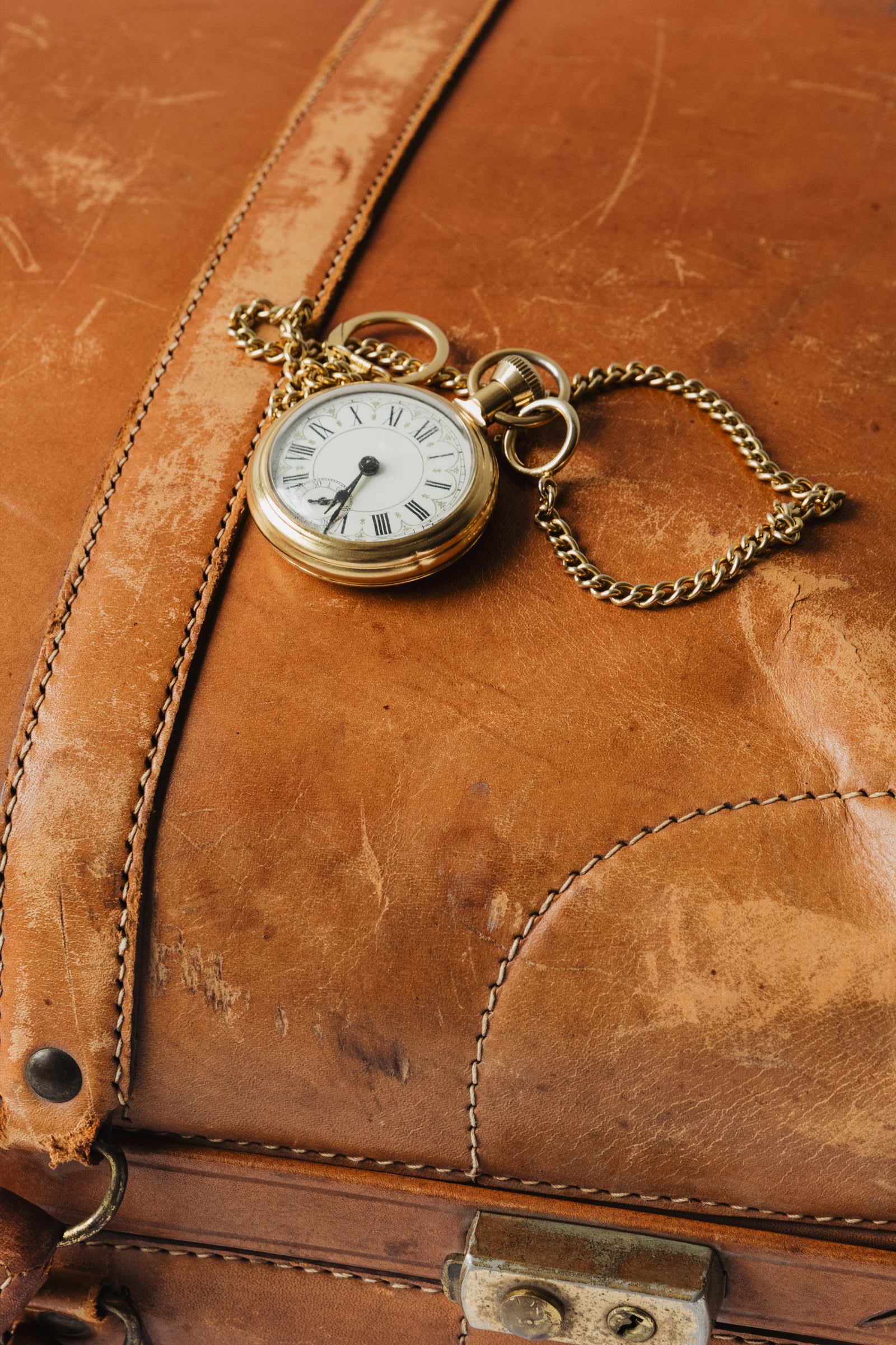 Insure Your Watch